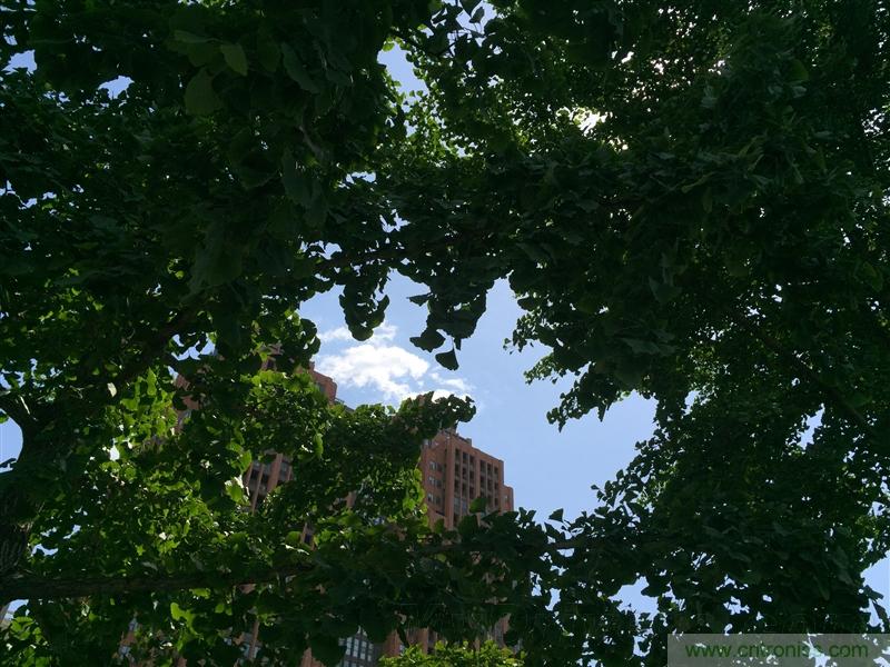 無邊框的 nubia Z9 ,一款既有驚喜,又有驚艷的智能手機