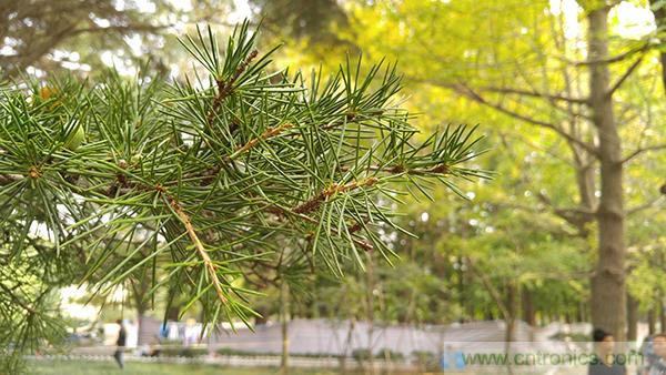 業界良心 LG V10 評測:剛毅、冷峻，不失人性化