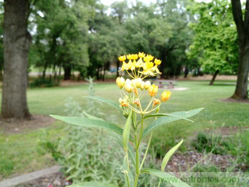 無數的拍攝,只為成就一個完美回憶
