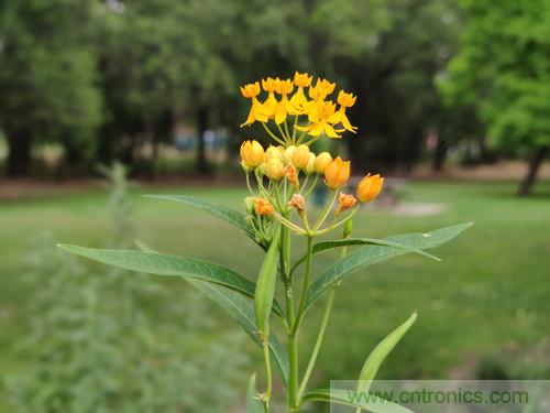 無數的拍攝,只為成就一個完美回憶